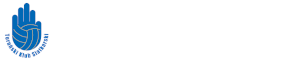 Toruński Klub Siatkarski
