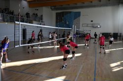 cu11